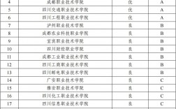 四川雙高計(jì)劃專科學(xué)校排名如何？哪些學(xué)校值得關(guān)注？