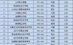 2024年山東省雙高計劃專科學(xué)校排名