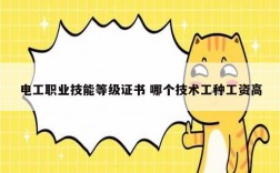 電工職業技能等級證書 哪個技術工種工資高
