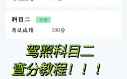 怎么查看駕考所有科目的成績