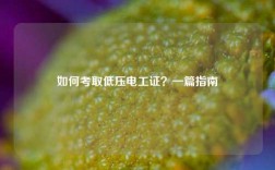 如何考取低壓電工證？一篇指南