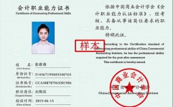 出納需要會(huì)計(jì)證嗎
