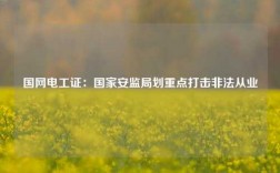 國網電工證：國家安監局劃重點打擊非法從業