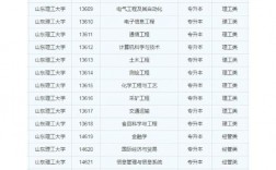 2024年山東理工大學的王牌專業(yè)排名
