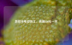 急招水電安裝工，高薪350元一天