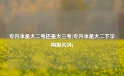 專升本是大二考還是大三考(專升本是大二下學(xué)期報(bào)名嗎)
