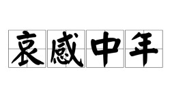 哀感中年是什么意思_近義詞_來源