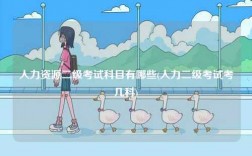 人力資源二級(jí)考試科目有哪些(人力二級(jí)考試考幾科)