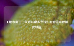 工地水電工一天可以賺多少錢？看看這些數(shù)據(jù)就知道！