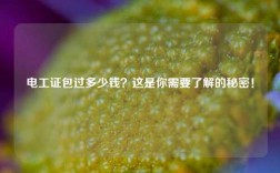 電工證*過多少錢？這是你需要了解的秘密！