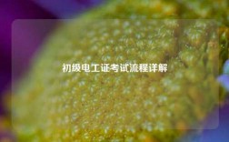 初級電工證考試流程詳解