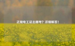 正規電工證去哪考？詳細解答！