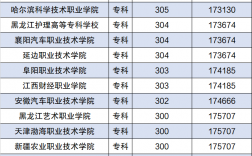 300分能上什么大專(公辦大專最低多少分能上)