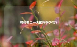 揭秘電工一天能掙多少錢？