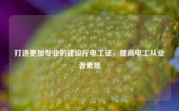 打造更加專業(yè)的建設(shè)廳電工證，提高電工從業(yè)者素質(zhì)