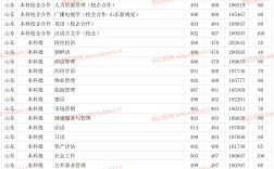 山東青年政治學院分數線