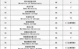 美國休斯頓大學排名