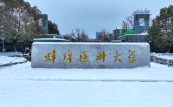 2025年安徽自考本科醫(yī)學(xué)助學(xué)加分唯一院校——蚌埠醫(yī)科大學(xué)報(bào)名條件一覽