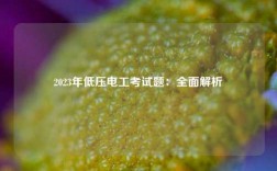 2023年低壓電工考試題：全面解析