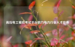 高壓電工模擬考試平臺助力電力行業人才培養