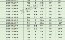 上海第二工業大學排名