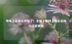 考電工證報名開始了！全面了解網上報名流程與注意事項