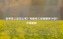 自考電工證怎么考？考取電工證需要多少錢？詳細解析