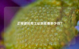 正規建筑電工證到底要多少錢？
