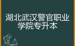 武漢警官職業學院專升本
