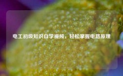 電工初級知識自學視頻，輕松掌握電路原理