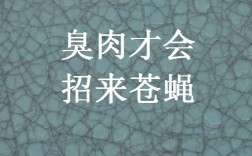 臭肉來(lái)蠅是什么意思_近義詞_來(lái)源
