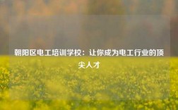 朝陽區電工培訓學校：讓你成為電工行業的頂尖人才
