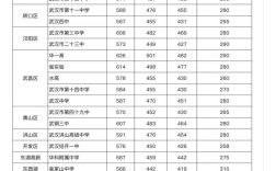 武漢中考分數線