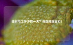 臨時電工多少錢一天？調查揭露真相！