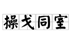 操戈同室是什么意思_近義詞_來源