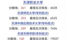 大專院校排名以及錄取分數如何？具體情況如何？