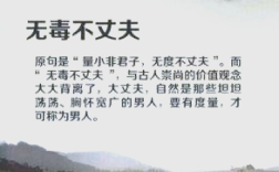 無毒不丈夫的解釋_近義詞_反義詞