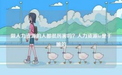 做人力資源的人都很厲害嗎？人力資源hr是干嘛的