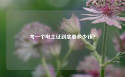 考一個電工證到底要多少錢？