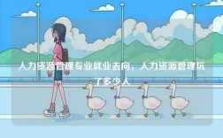 人力資源管理專業(yè)就業(yè)去向，人力資源管理坑了多少人