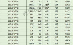 2024年武漢城市學院分數線