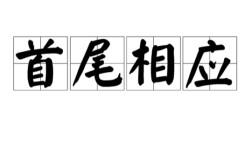 首尾相應的解釋_近義詞_反義詞
