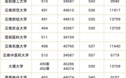2024年哪個省的錄取分?jǐn)?shù)線最低