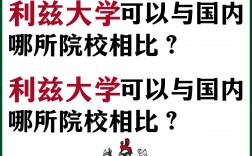 利茲大學(xué)相當(dāng)于國(guó)內(nèi)什么檔次？什么水平？