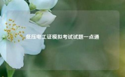 低壓電工證模擬考試試題一點通