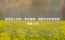 低壓電工科目一考試視頻：用數(shù)字化教育培養(yǎng)技能人才