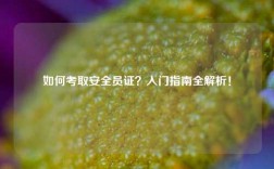 如何考取安全員證？入門指南全解析！