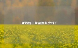 正規焊工證需要多少錢？