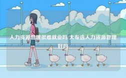 人力資源管理很難就業嗎 大專選人力資源管理好嗎