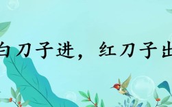 白刀子進，紅刀子出是什么意思_近義詞_來源
